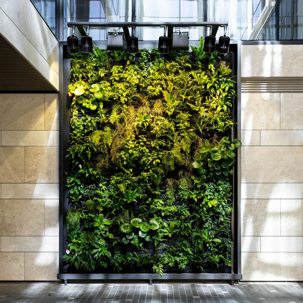 Concrete to Calm: Reviving the City Centre with Nature