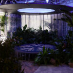 Immersive planted room by Greenair at the Design Depot