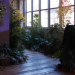 Entrance to the Autumn garden at the Design Depot
