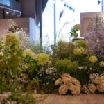 Colourful flowers inside Bloc store.